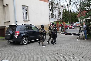 tn_IMG_4933