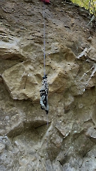 tn_IMG_2976