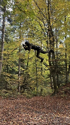 tn_IMG_3014