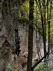 04b239f8-993c-48d5-bb56-84cbea069717