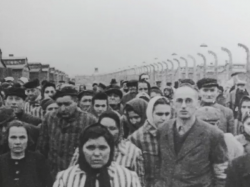 auschwitz