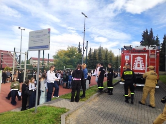 IMG20261008115612